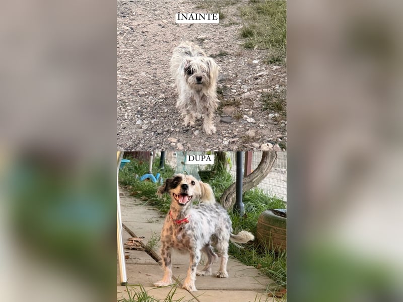 Sandy sucht Ihre Familie