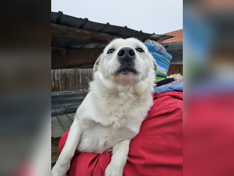 Albutu - der Schatz!