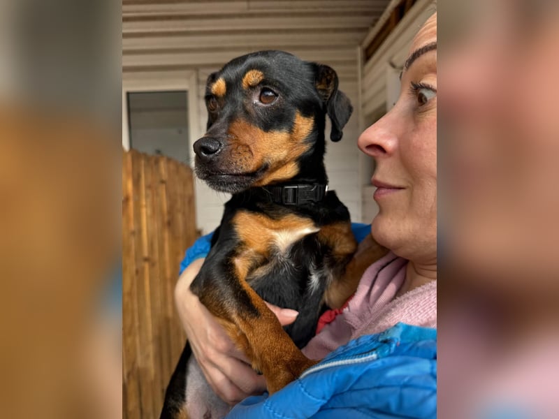 Liza - süße Maus sucht Ihre Familie