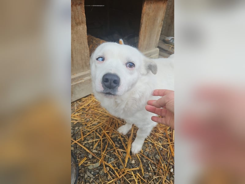 Albutu - der Schatz!