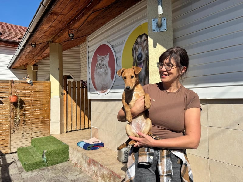 Nuka Welpe - sucht Familie