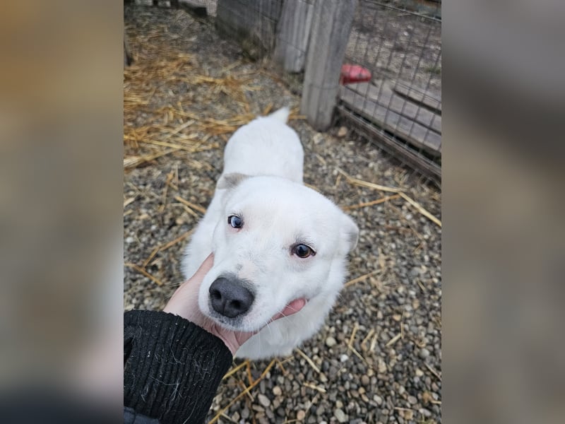 Albutu - der Schatz!