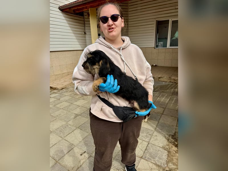 Keks sucht seine Menschen