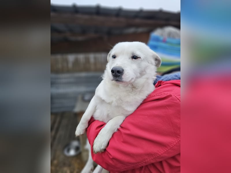 Albutu - der Schatz!