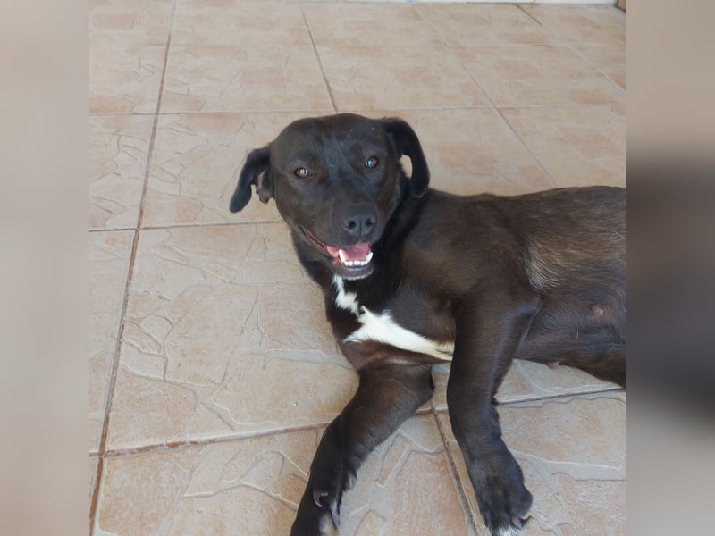 Coco sucht Ihre Familie!