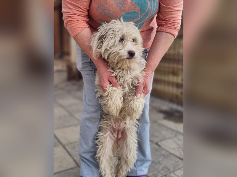 Emma sucht eine Familie