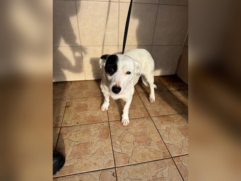 Spoty sucht Ihre Menschen