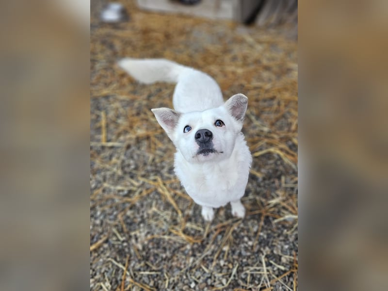 Albutu - der Schatz!