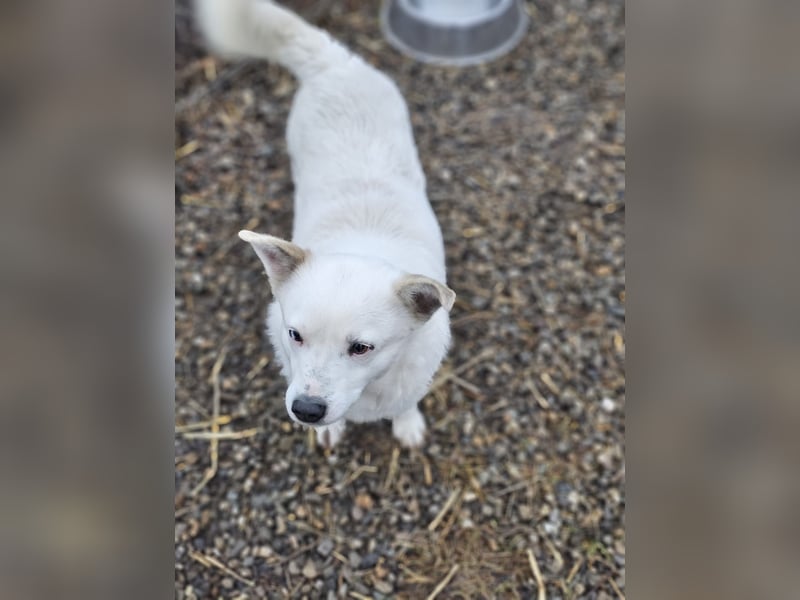 Albutu - der Schatz!