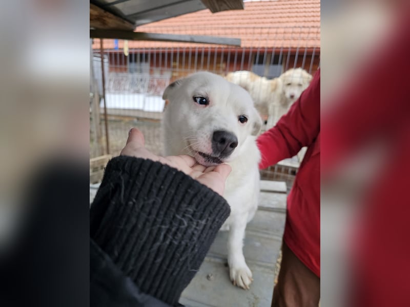 Albutu - der Schatz!