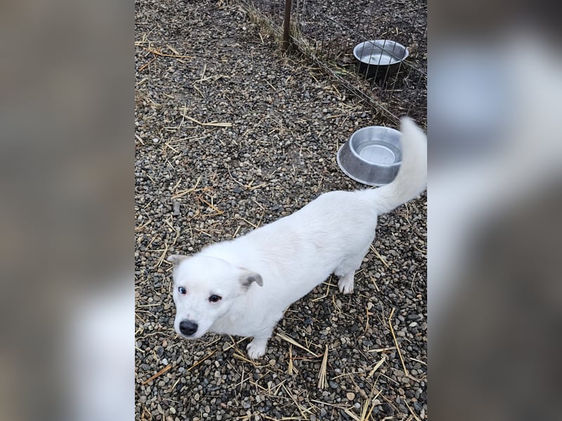 Albutu - der Schatz!