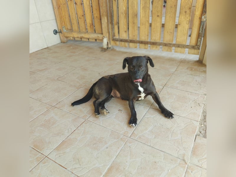 Coco sucht Ihre Familie!