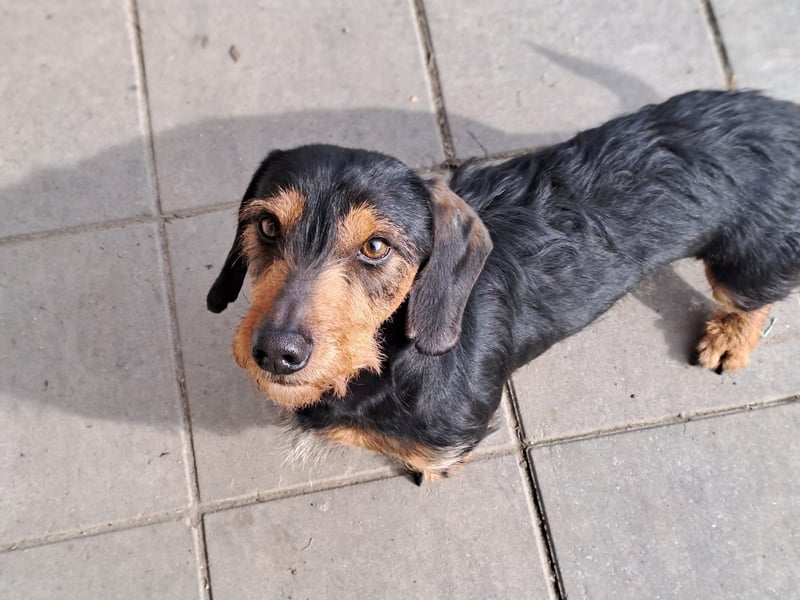 Bibi und Bebe suchen gemeinsam ihr Glück!