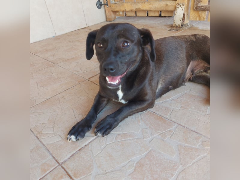Coco sucht Ihre Familie!