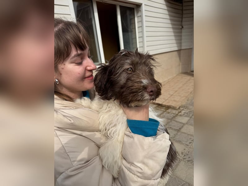 Flocke sucht sein Glück