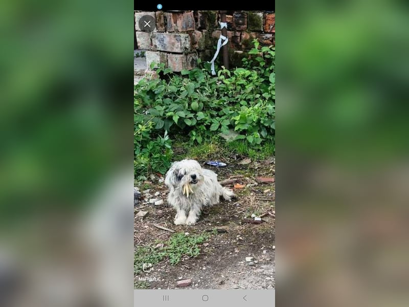 Sandy sucht Ihre Familie