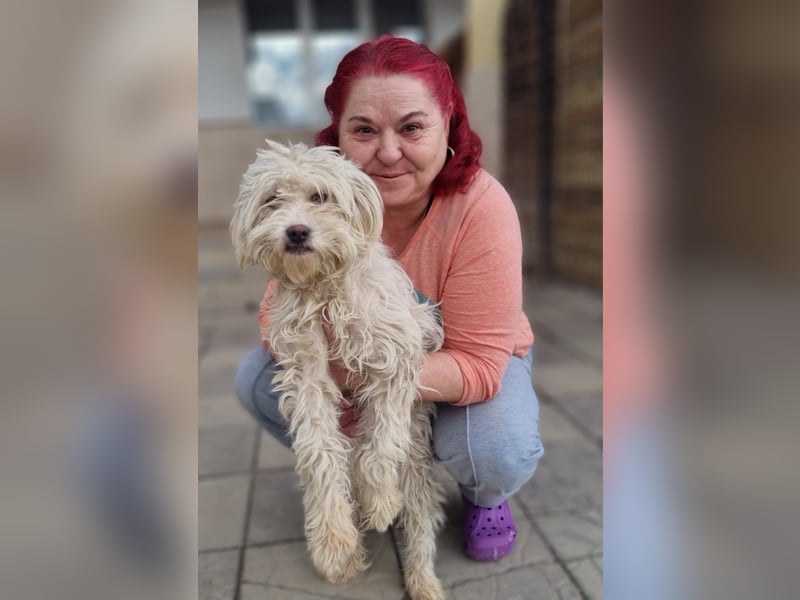 Emma sucht eine Familie