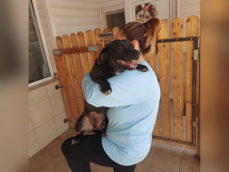 Coco sucht Ihre Familie!