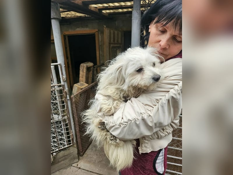 Kleine Lizzy sucht ihr Für-immer-Zuhause