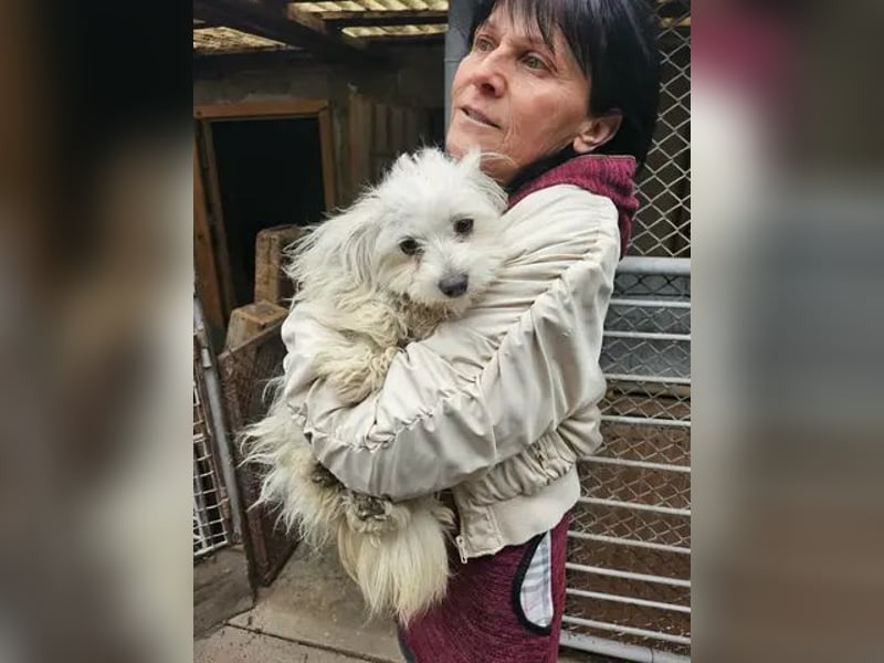 Kleine Lizzy sucht ihr Für-immer-Zuhause