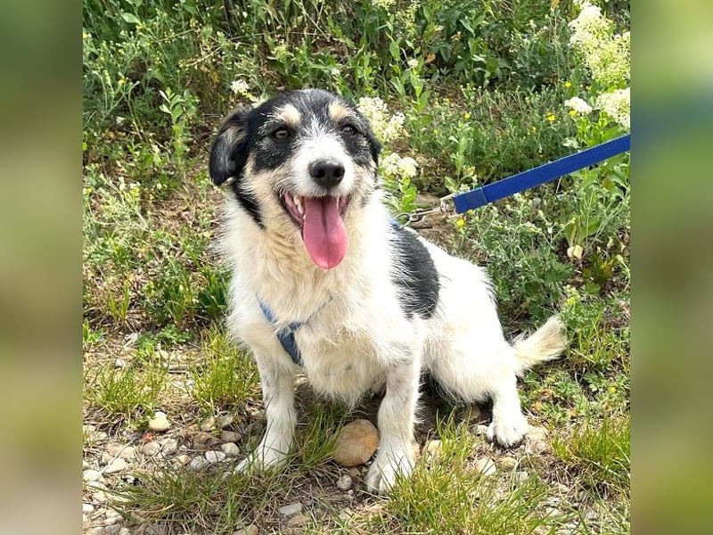 Fiona 35cm geb. 04/2025 ist ein absoluter Sonenschein