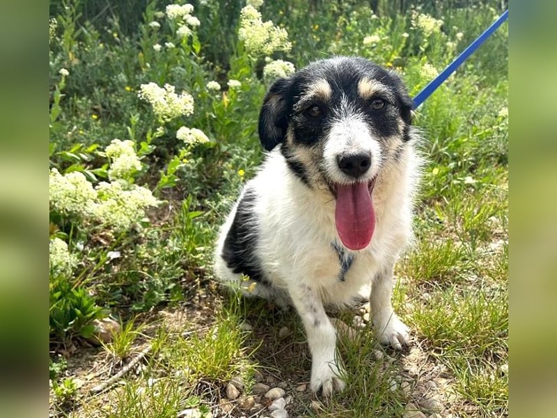 Fiona 35cm geb. 04/2025 ist ein absoluter Sonenschein