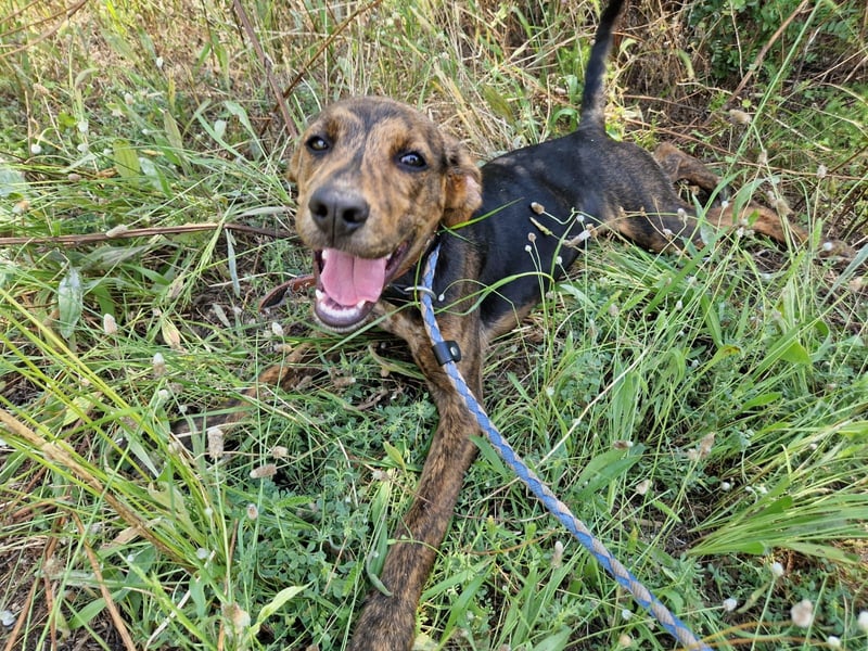 ELYZA - ein Herzensmädchen
