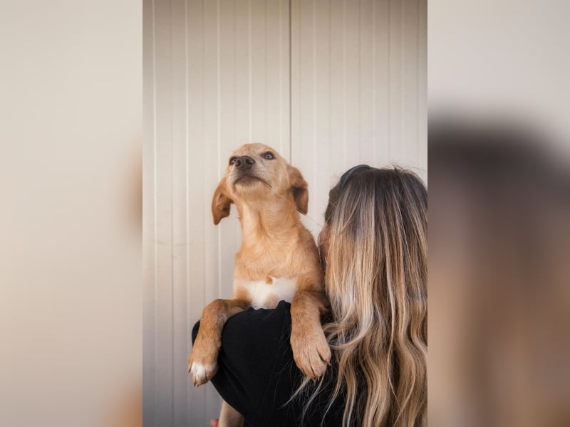 Freundlicher und aktiver Marc hofft auf eigene Familie ❤️‍