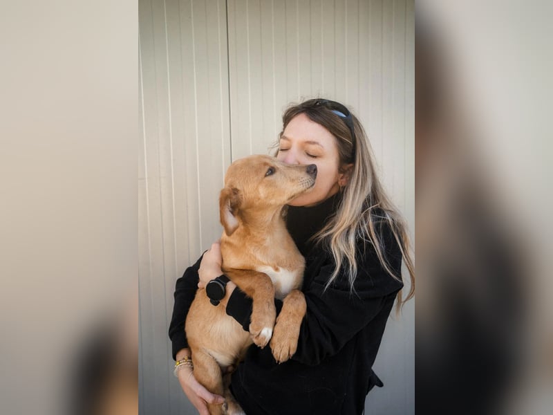 Freundlicher und aktiver Marc hofft auf eigene Familie ❤️‍