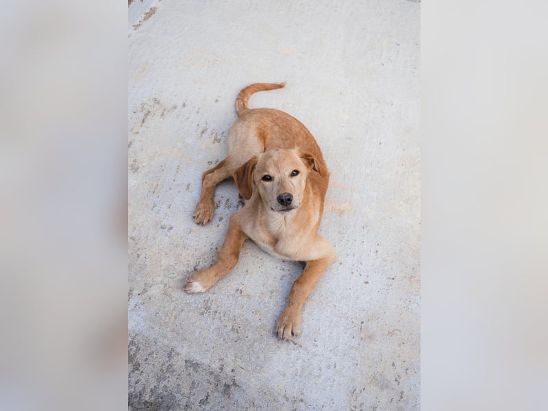 Freundlicher und aktiver Marc hofft auf eigene Familie ❤️‍