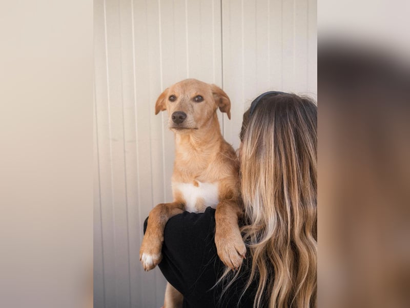 Freundlicher und aktiver Marc hofft auf eigene Familie ❤️‍