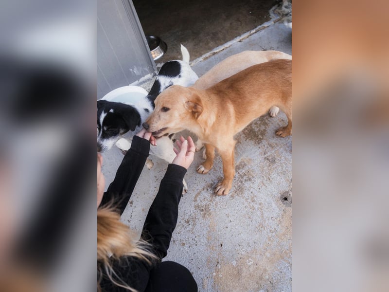 Freundlicher und aktiver Marc hofft auf eigene Familie ❤️‍