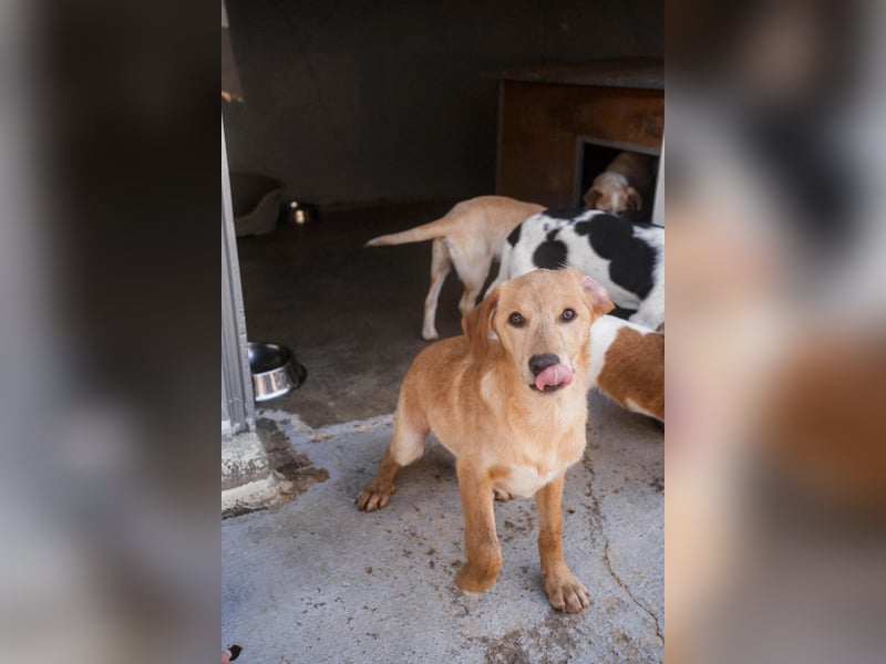 Freundlicher und aktiver Marc hofft auf eigene Familie ❤️‍