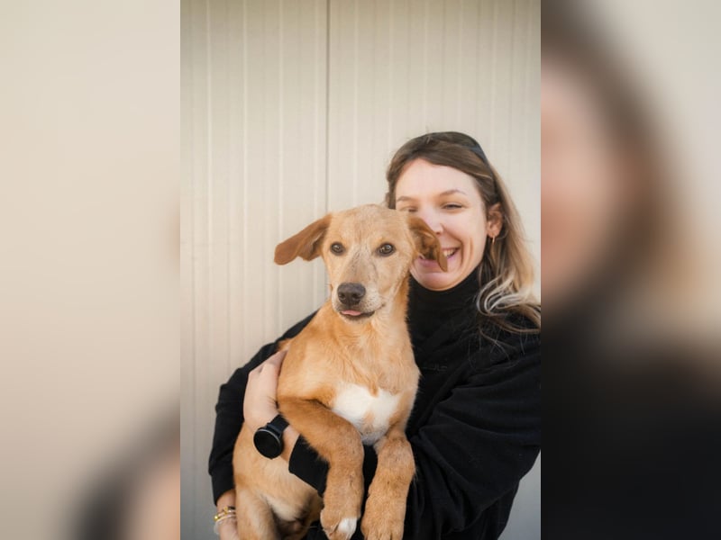 Freundlicher und aktiver Marc hofft auf eigene Familie ❤️‍