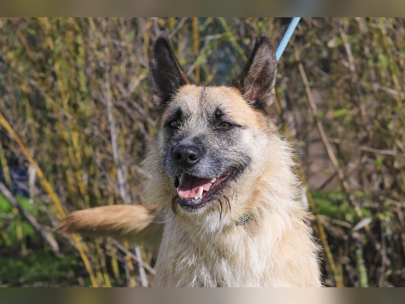 Typisch SCHMUSER ♦️DONOVAN♦️ in der Cantinho da Milu ⏳ 6/2024