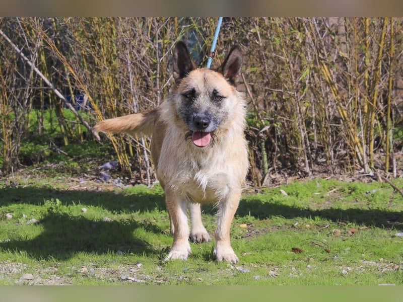 Typisch SCHMUSER ♦️DONOVAN♦️ in der Cantinho da Milu ⏳ 6/2024