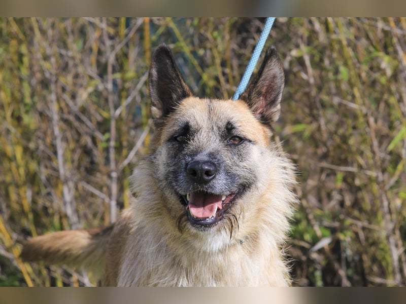 Typisch SCHMUSER ♦️DONOVAN♦️ in der Cantinho da Milu ⏳ 6/2024