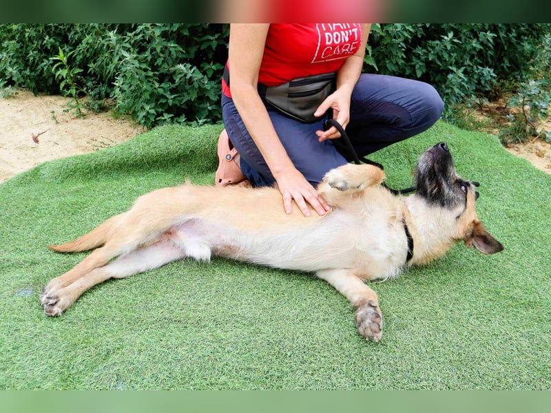 Typisch SCHMUSER ♦️DONOVAN♦️ in der Cantinho da Milu ⏳ 6/2024