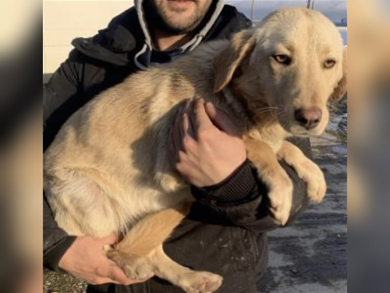 Allerliebste Lissi ❤️