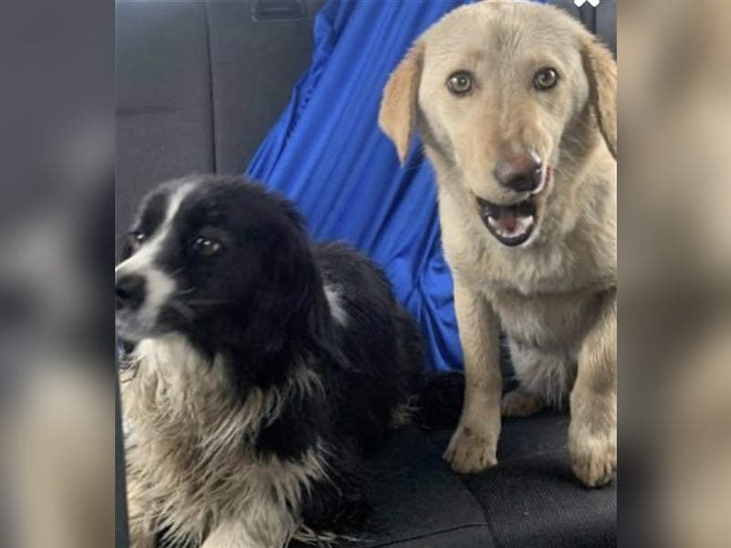 Allerliebste Lissi ❤️