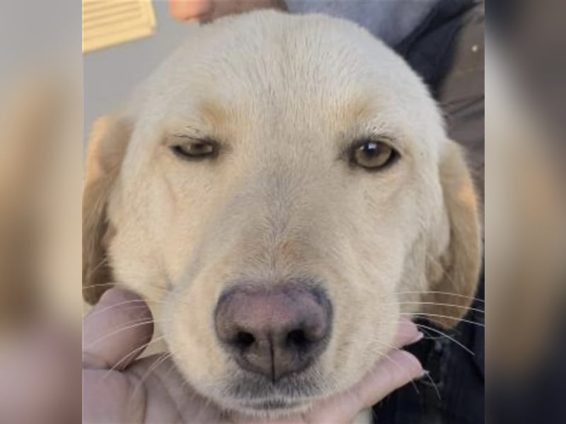 Allerliebste Lissi ❤️