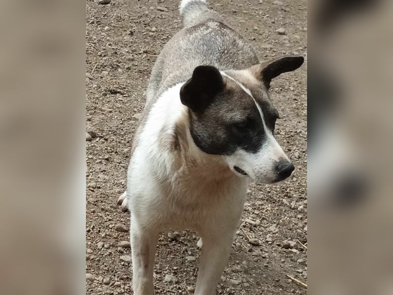 Klein, süß - Shanti