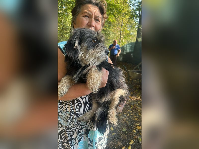 Wuschl, der Name ist Programm