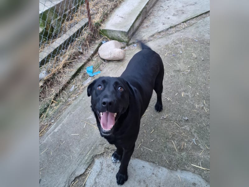 Liebevolle Fellmaus Vania sucht liebe Menschen