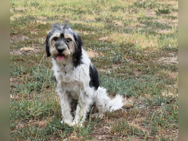 Ruby kleine Frohnatur