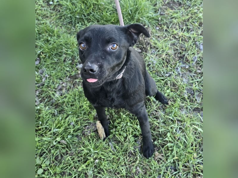 Litchi black is beautiful