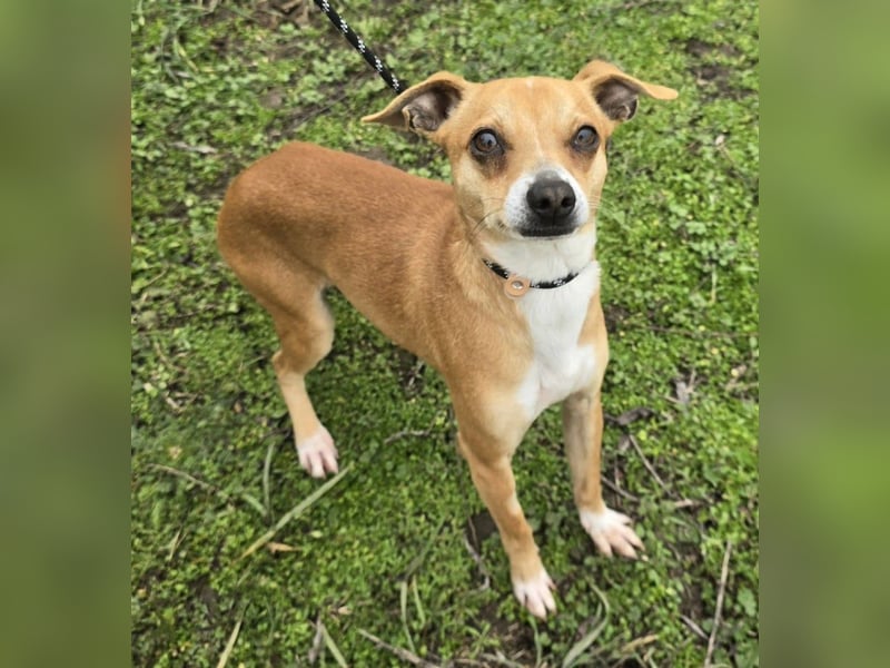 Claude oder Bonnie und Clyde