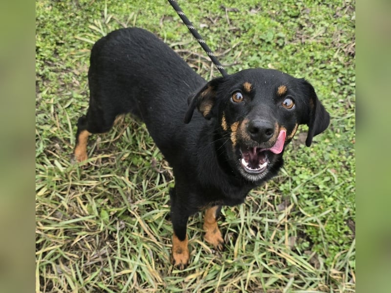 Cosette oder Bonnie und Clyde