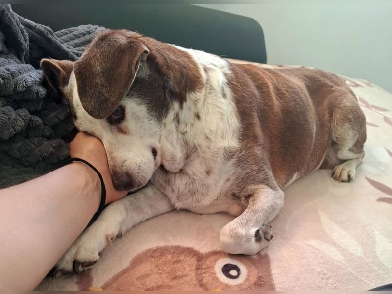 Tilda - liebenswerte Seniorin