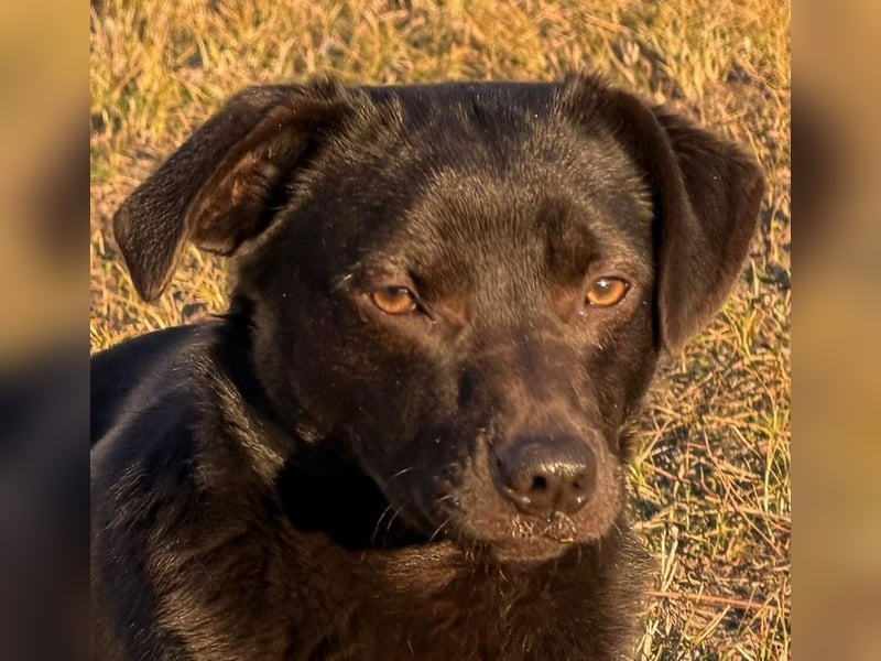 Willow black is beautiful